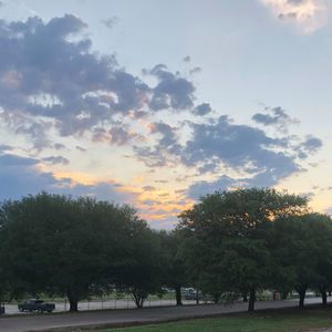 Meet your Posher, Austin